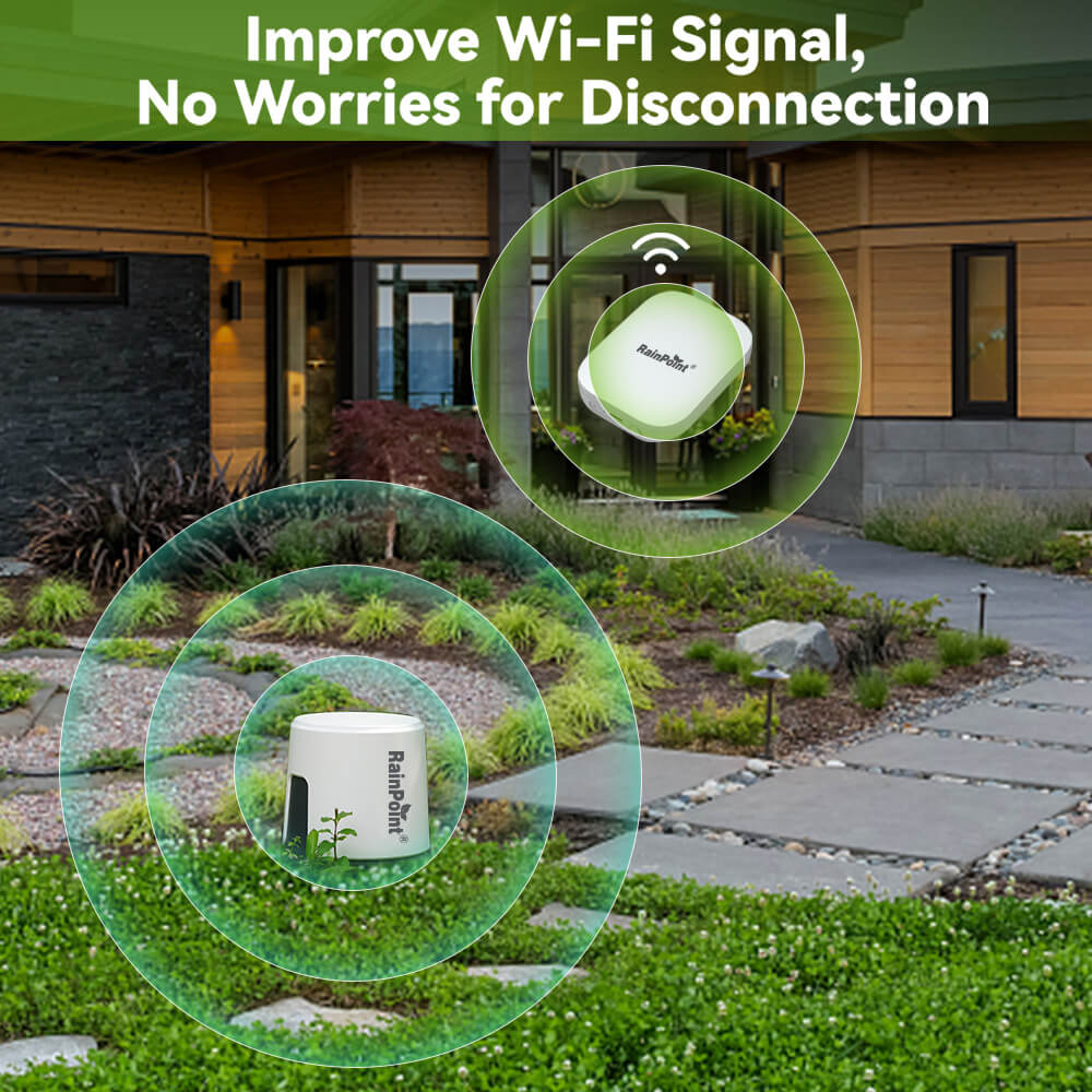 RainPoint weather station