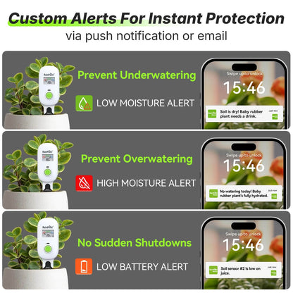 [2026 Version] RAINPOINT Visual Gauge Digital Smart Wireless Plant Moisture Meter Kit
