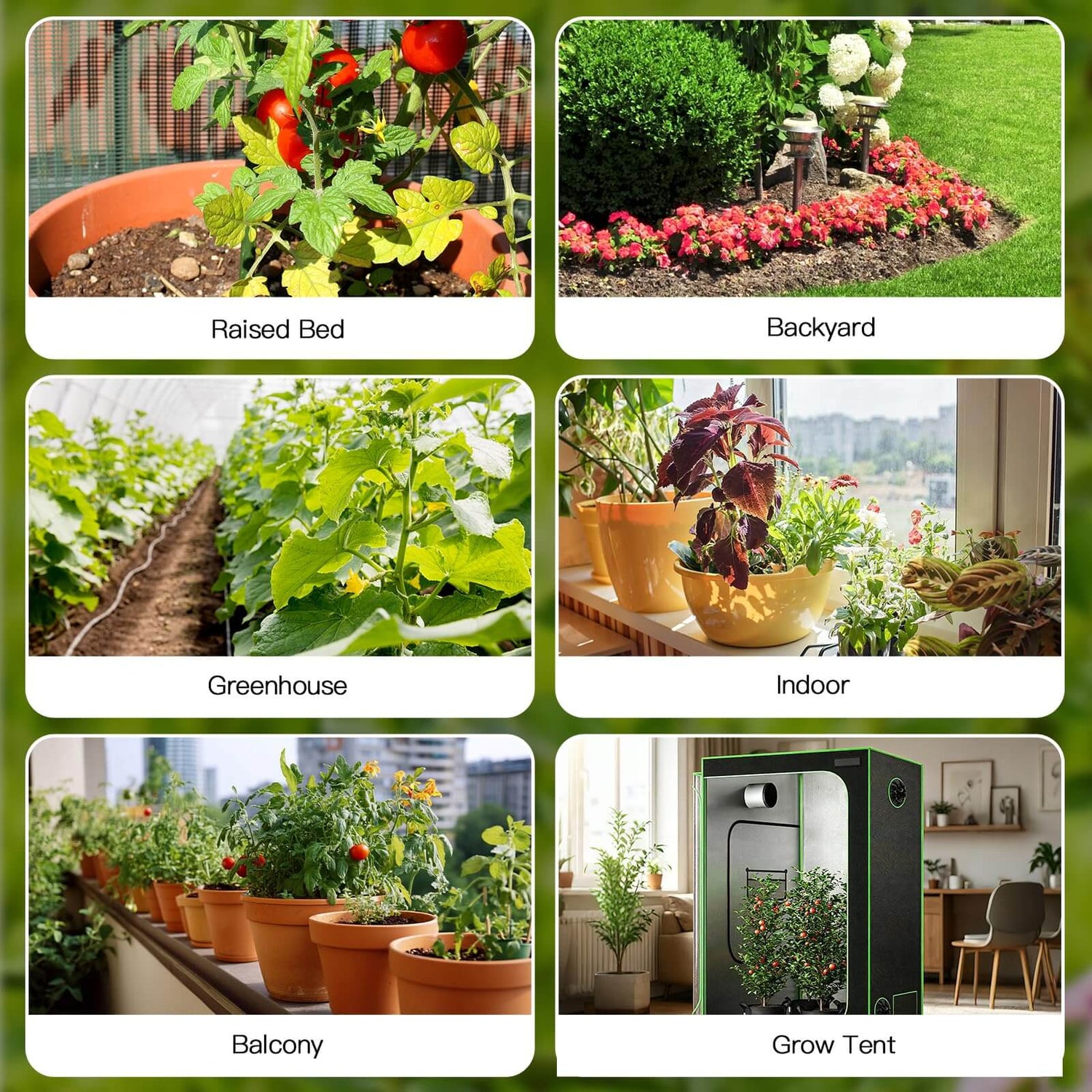 RainPoint WiFi Solar Automatic Plant Waterer Kit for Outdoor &amp; Indoor Use with Hub