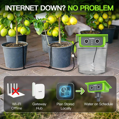 RainPoint WiFi Solar Automatic Plant Waterer Kit for Outdoor &amp; Indoor Use with Hub