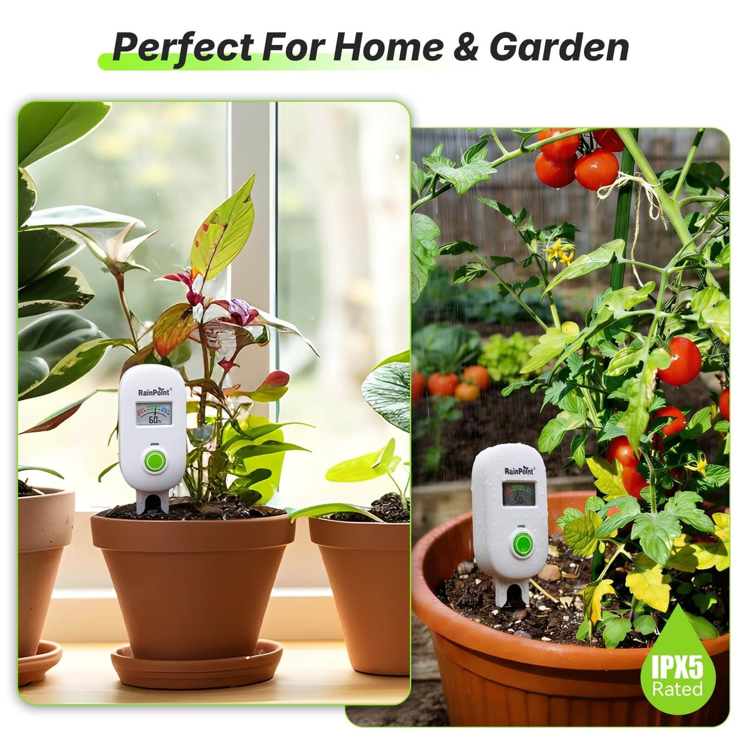 [2026 Version]RAINPOINT Visual Gauge Digital Smart Wireless Plant Moisture Meter,WiFi Hub Needed