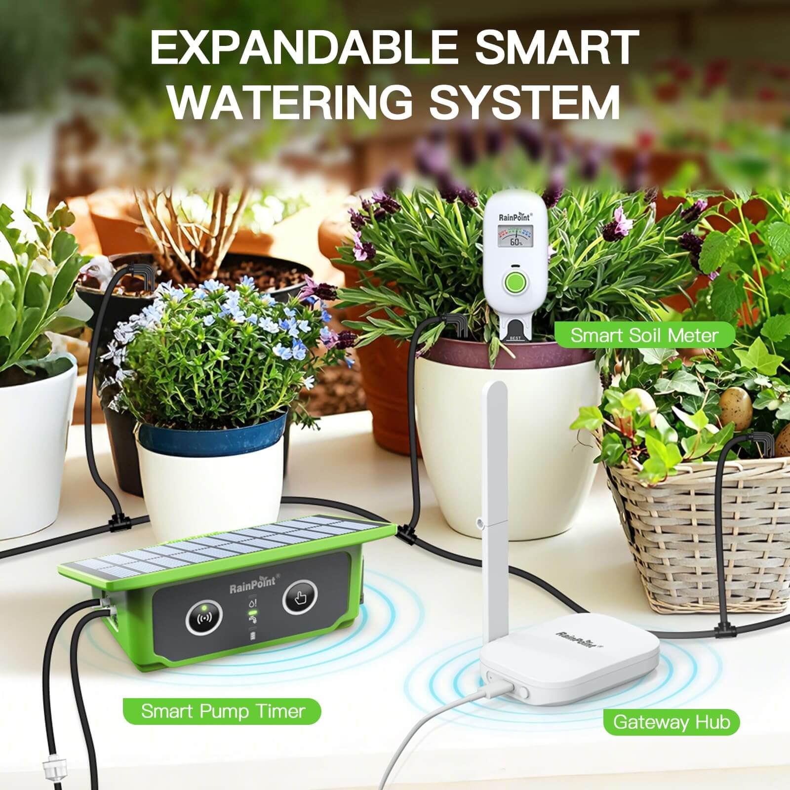 RainPoint WiFi Solar Automatic Plant Waterer Kit for Outdoor &amp; Indoor Use with Hub