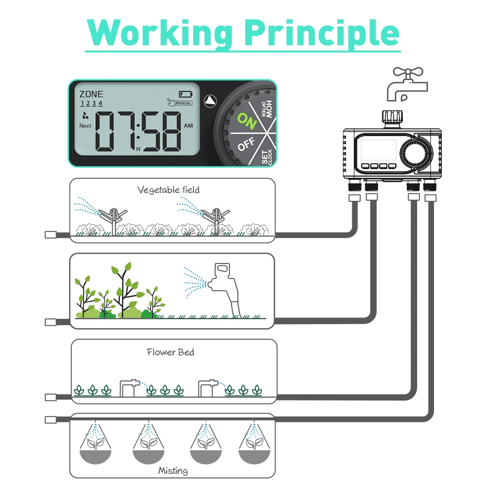 RainPoint 4 Outlet Water Timer