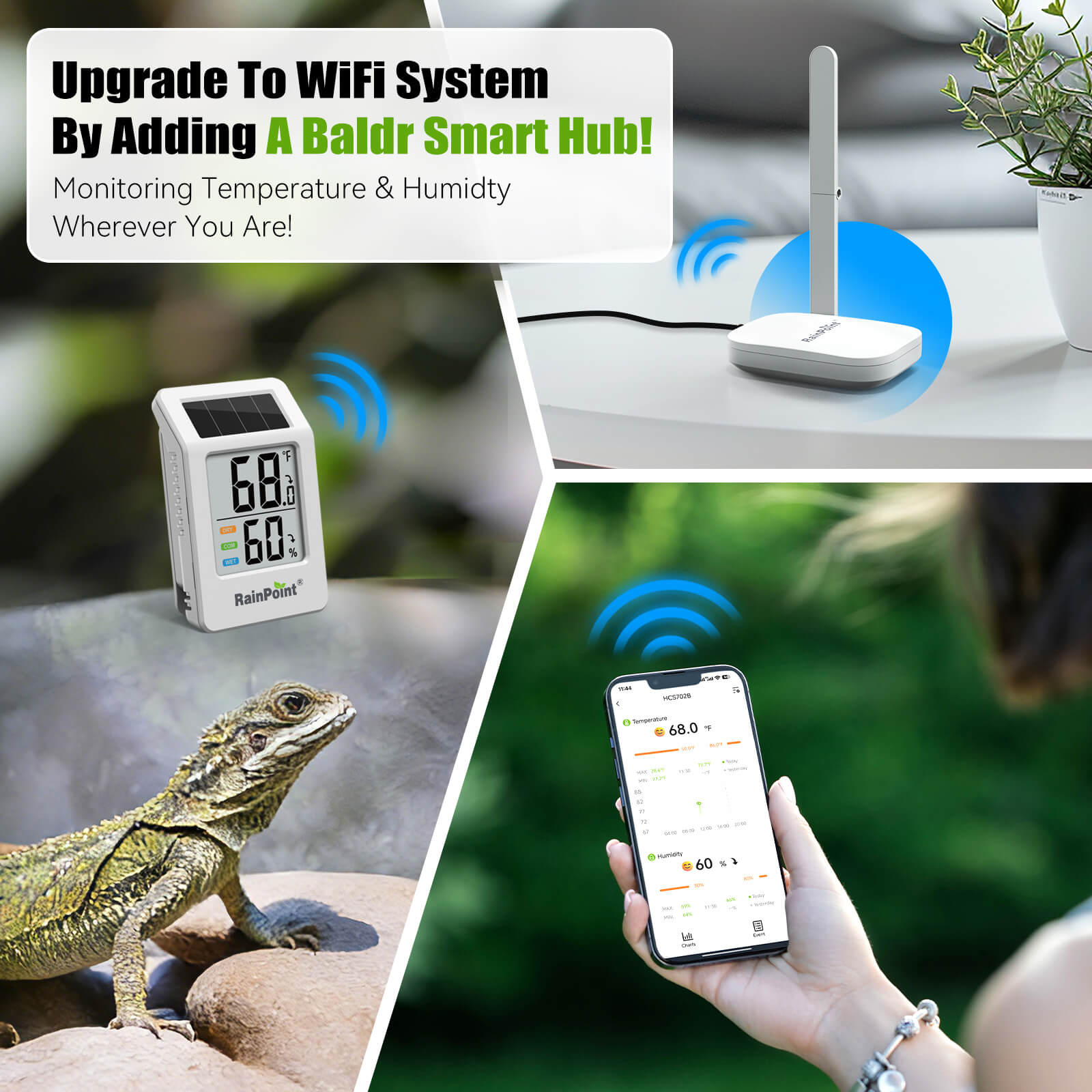 RainPoint Solar Bluetooth Temperature Humidity Monitor with Remote App Control