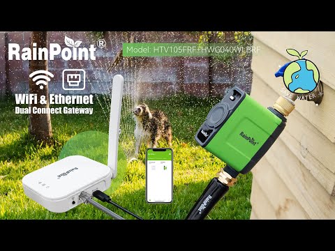 RainPoint WiFi Water Timer, Brass Inlet (No WiFi Gateway)
