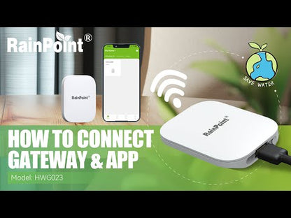 RainPoint Smart Soil&amp; Moisture Sensor